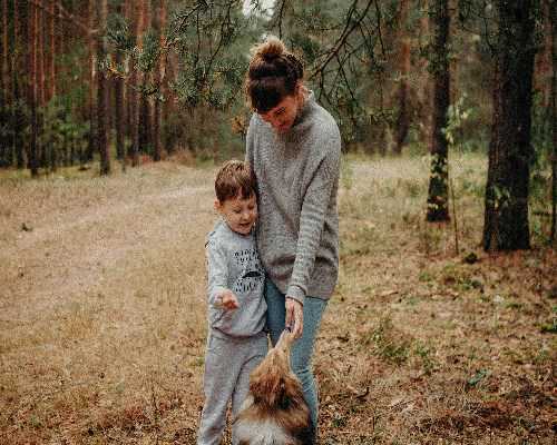 代怀婴儿常用4种促排方案大揭秘👇,国内供卵代怀三代医院可选男女性别吗&代孕卵子公司